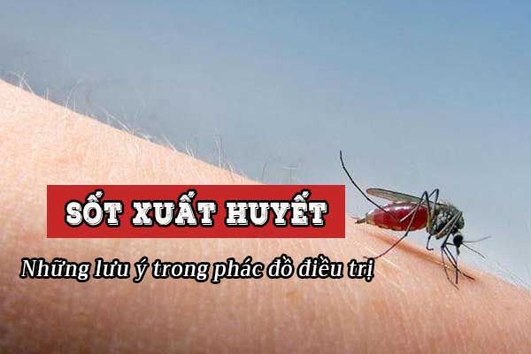 Phác đồ điều trị sốt xuất huyết Dengue - Những lưu ý cần biết 1