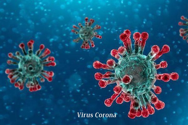 Virus corona là gì? 1